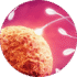 Donor Gametes
