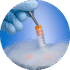 Embryo Cryopreservation