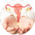 Follicular Ultrasound