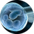 Preimplantation Genetic Testing